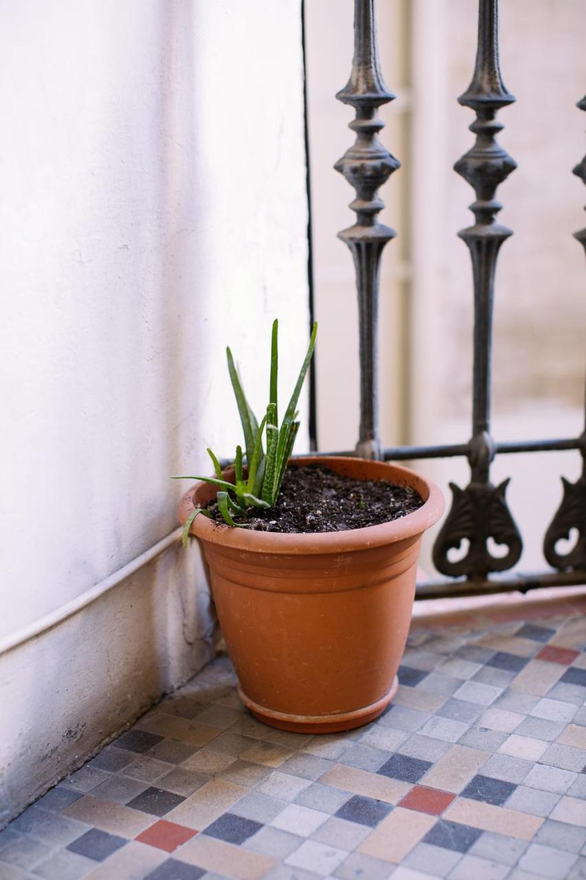 Hostal Eixample Barselona Dış mekan fotoğraf
